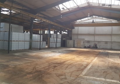 hala na wynajem - Katowice