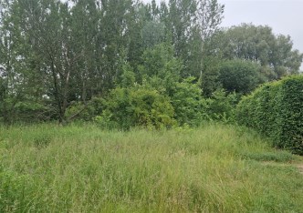 działka na sprzedaż - Katowice, Piotrowice